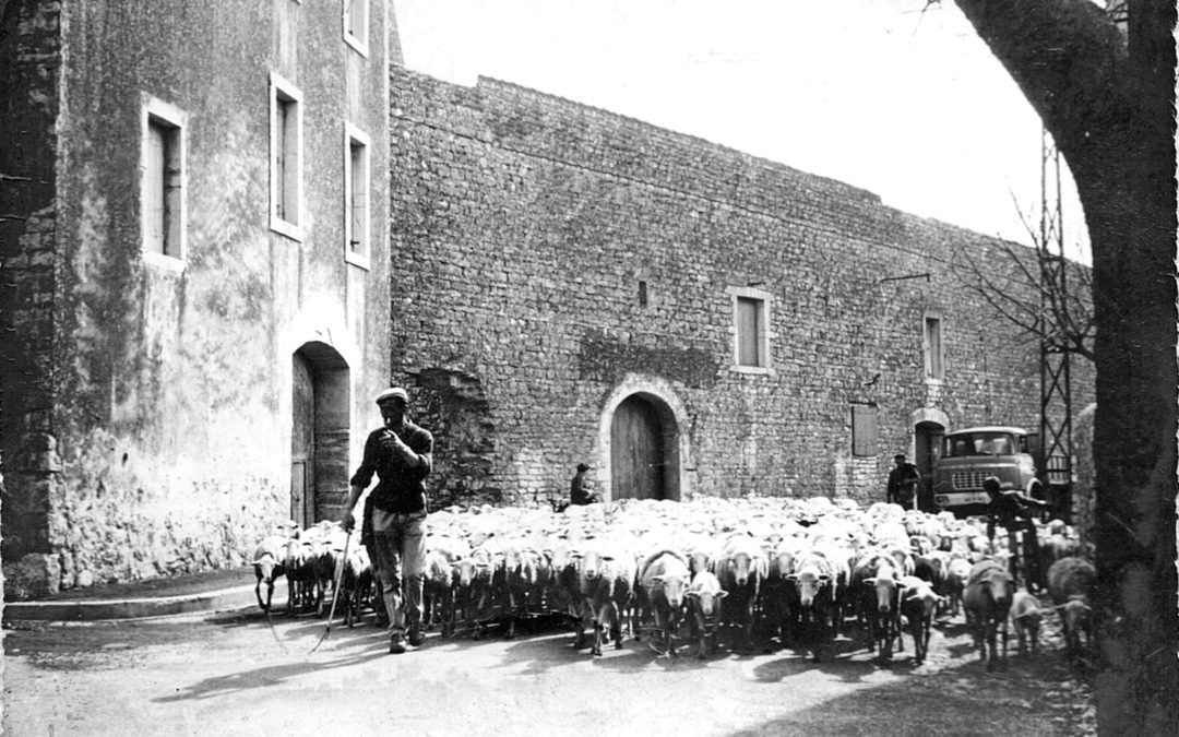 Samedi 30 juillet matin, je dédicacerai à SAINT JEAN DU GARD, librairie maison de la presse de