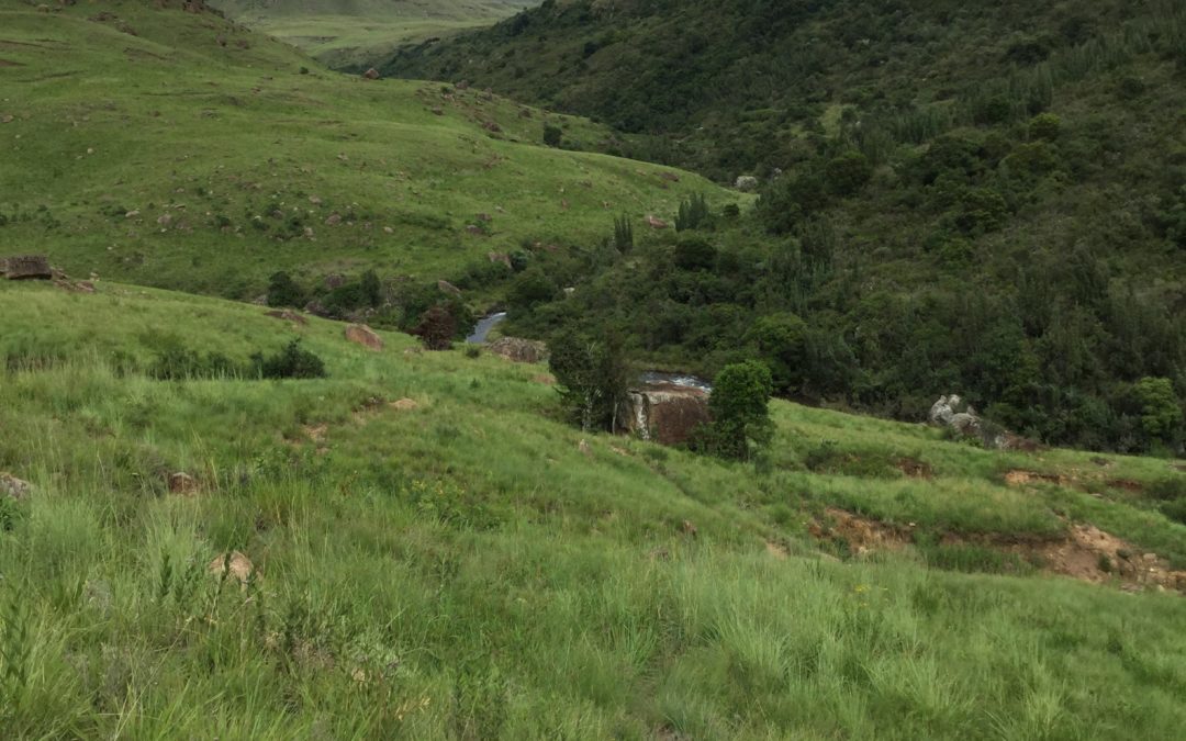 A EYNE EN CERDAGNE LES 21 et 22 JUILLET commence ma tournée estivale